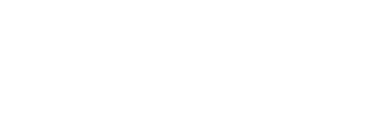 Zdravotnictví 2030